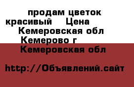 продам цветок красивый) › Цена ­ 3 000 - Кемеровская обл., Кемерово г.  »    . Кемеровская обл.